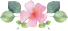 Muttertags-Blume